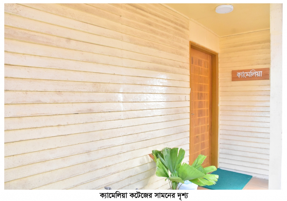 Camellia (Couple Cottage)